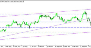 บิตคอยน์พุ่งขึ้นแรง – จับตาท่าทีเฟดและทรัมป์